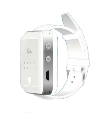 Пейджер Smart 41H 4х зональный