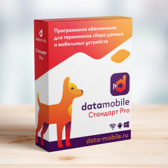 ПО DataMobile, версия Стандарт Pro в Тамбове